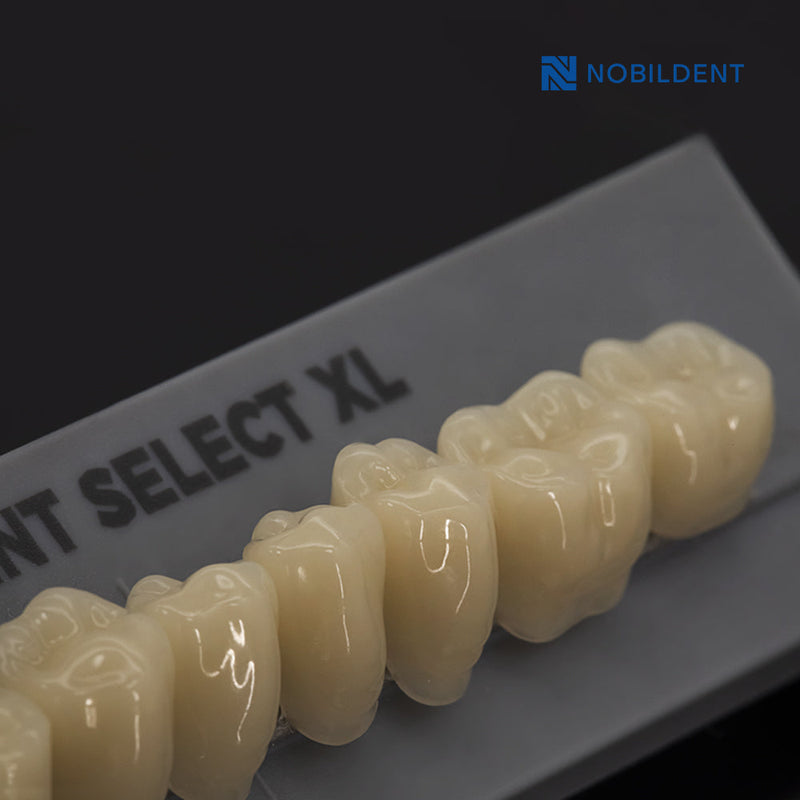 NOBILDENT Select XL Lower Anterior Denture Teeth (Sell by box)