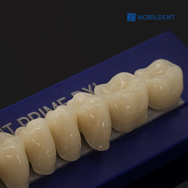 Nobildent Prime DXL Artificial Denture Teeth